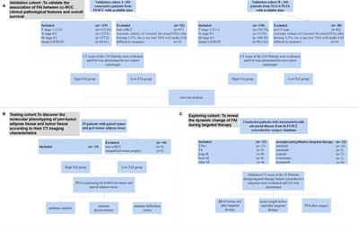 Fat Attenuation Index of Renal Cell Carcinoma Reveals Biological Characteristics and Survival Outcome